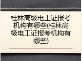 桂林高级电工证报考机构有哪些(桂林高级电工证报考机构有哪些)