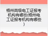 梧州高级电工证报考机构有哪些(梧州电工证报考机构有哪些)