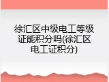 徐汇区中级电工等级证能积分吗(徐汇区电工证积分)