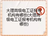 大理高级电工证报考机构有哪些(大理高级电工证报考机构有哪些)