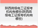 陕西高级电工证报考机构有哪些(陕西高级电工证报考机构有哪些)