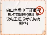佛山高级电工证报考机构有哪些(佛山高级电工证报考机构有哪些)