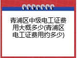 青浦区中级电工证费用大概多少(青浦区电工证费用约多少)