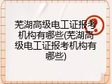 芜湖高级电工证报考机构有哪些(芜湖高级电工证报考机构有哪些)