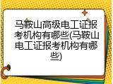 马鞍山高级电工证报考机构有哪些(马鞍山电工证报考机构有哪些)