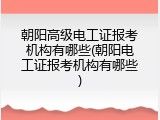 朝阳高级电工证报考机构有哪些(朝阳电工证报考机构有哪些)