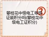 攀枝花中级电工等级证能积分吗(攀枝花中级电工证积分)