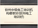 钦州中级电工培训机构哪家好(钦州电工培训好)