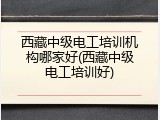 西藏中级电工培训机构哪家好(西藏中级电工培训好)