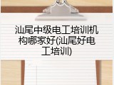 汕尾中级电工培训机构哪家好(汕尾好电工培训)