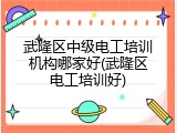 武隆区中级电工培训机构哪家好(武隆区电工培训好)
