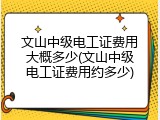 文山中级电工证费用大概多少(文山中级电工证费用约多少)