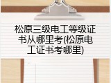 松原三级电工等级证书从哪里考(松原电工证书考哪里)