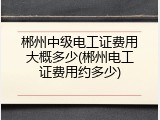 郴州中级电工证费用大概多少(郴州电工证费用约多少)