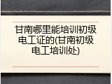 甘南哪里能培训初级电工证的(甘南初级电工培训处)