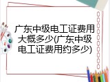 广东中级电工证费用大概多少(广东中级电工证费用约多少)