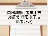 濮阳哪里可考电工技师证书(濮阳电工技师考证处)