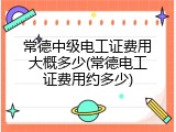 常德中级电工证费用大概多少(常德电工证费用约多少)