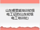 山东哪里能培训初级电工证的(山东初级电工培训处)
