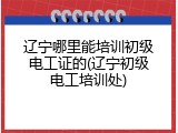 辽宁哪里能培训初级电工证的(辽宁初级电工培训处)