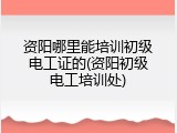 资阳哪里能培训初级电工证的(资阳初级电工培训处)
