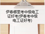 伊春哪里考中级电工证好考(伊春考中级电工证好考)