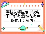 攀枝花哪里考中级电工证好考(攀枝花考中级电工证好考)
