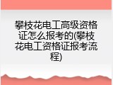 攀枝花电工高级资格证怎么报考的(攀枝花电工资格证报考流程)