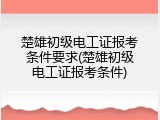 楚雄初级电工证报考条件要求(楚雄初级电工证报考条件)