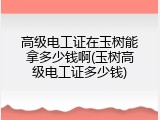 高级电工证在玉树能拿多少钱啊(玉树高级电工证多少钱)