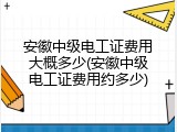 安徽中级电工证费用大概多少(安徽中级电工证费用约多少)