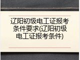 辽阳初级电工证报考条件要求(辽阳初级电工证报考条件)