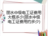 丽水中级电工证费用大概多少(丽水中级电工证费用约多少)