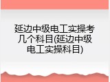 延边中级电工实操考几个科目(延边中级电工实操科目)