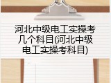 河北中级电工实操考几个科目(河北中级电工实操考科目)