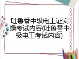 吐鲁番中级电工证实操考试内容(吐鲁番中级电工考试内容)