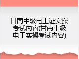 甘南中级电工证实操考试内容(甘南中级电工实操考试内容)