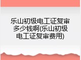 乐山初级电工证复审多少钱啊(乐山初级电工证复审费用)