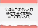 初级电工证报名入口攀枝花(攀枝花初级电工证报名入口)
