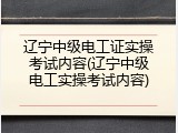 辽宁中级电工证实操考试内容(辽宁中级电工实操考试内容)