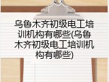乌鲁木齐初级电工培训机构有哪些(乌鲁木齐初级电工培训机构有哪些)