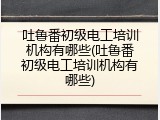 吐鲁番初级电工培训机构有哪些(吐鲁番初级电工培训机构有哪些)