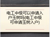 电工中级可以申请入户玉树吗(电工中级可申请玉树入户)
