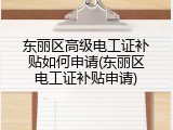 东丽区高级电工证补贴如何申请(东丽区电工证补贴申请)