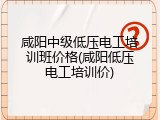 咸阳中级低压电工培训班价格(咸阳低压电工培训价)