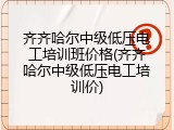 齐齐哈尔中级低压电工培训班价格(齐齐哈尔中级低压电工培训价)