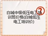 白城中级低压电工培训班价格(白城低压电工培训价)