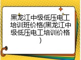 黑龙江中级低压电工培训班价格(黑龙江中级低压电工培训价格)