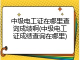 中级电工证在哪里查询成绩啊(中级电工证成绩查询在哪里)