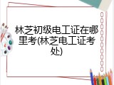 林芝初级电工证在哪里考(林芝电工证考处)